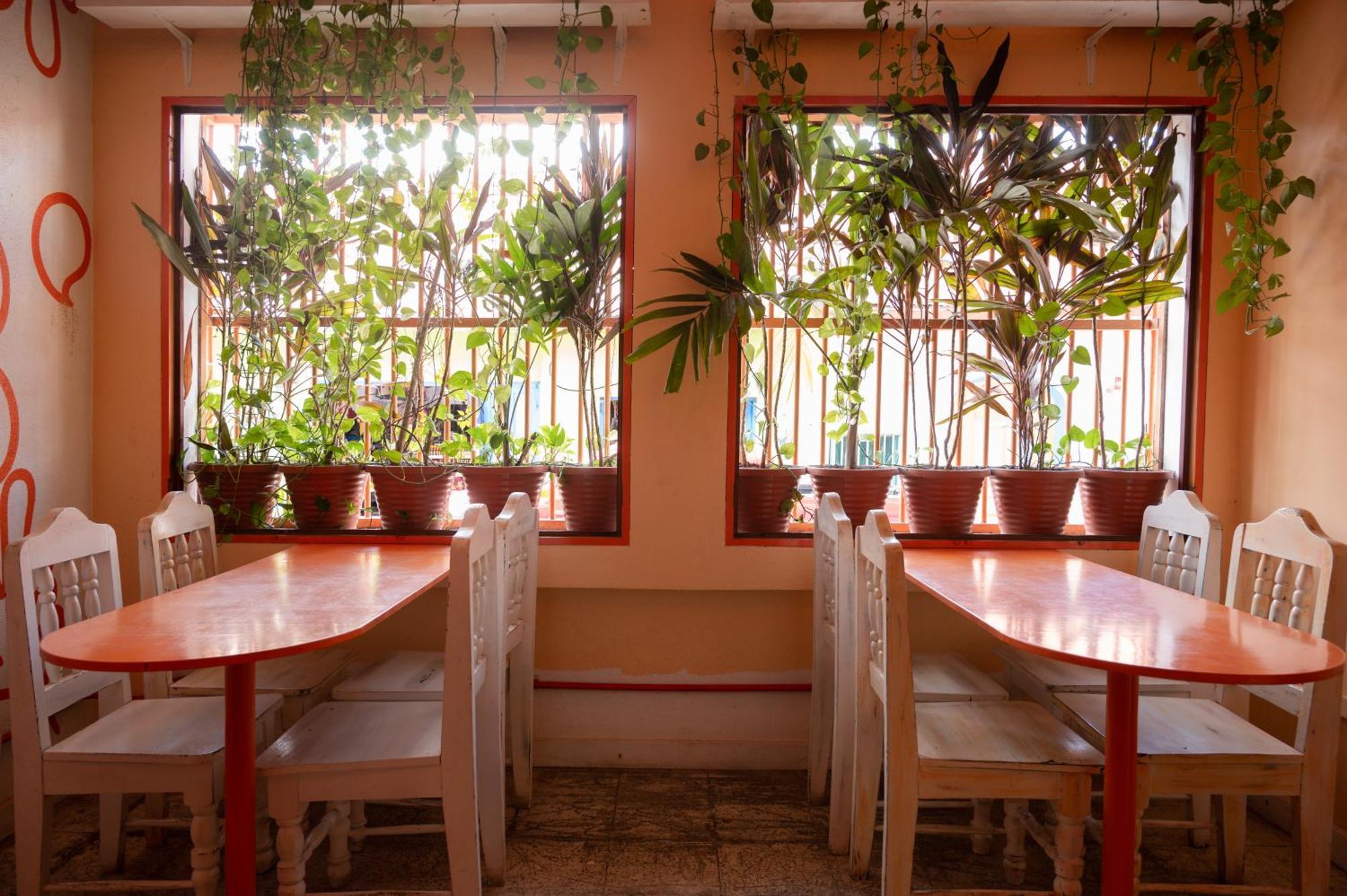 Macarena Hostel Флорес Экстерьер фото
